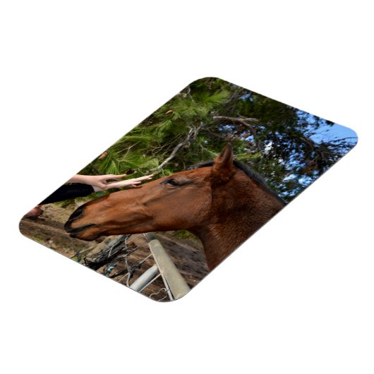 Paardenvrienden Forever, Flexible Magnet Magneet (Linkerzijde)