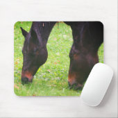 Paardenvrienden grazen muismat (Met muis)