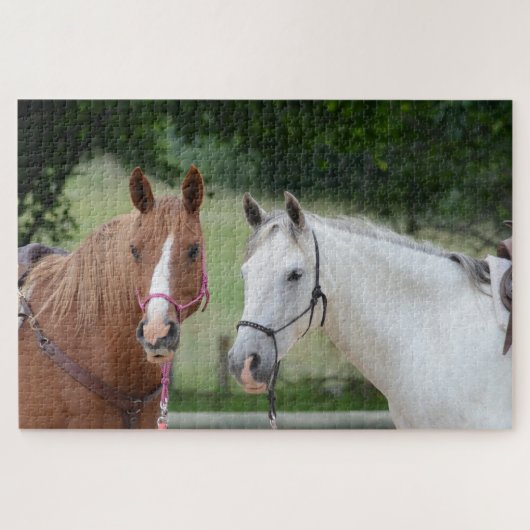 Paardenvrienden Legpuzzel (Horizontaal)