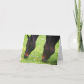 Paardenvrienden Rzing Blank Opmerking Kaart (Voorkant)