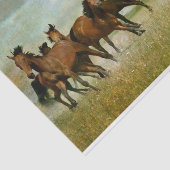 Paardenvrij  schilderen ontkoppeling tissuepapier (Detail)