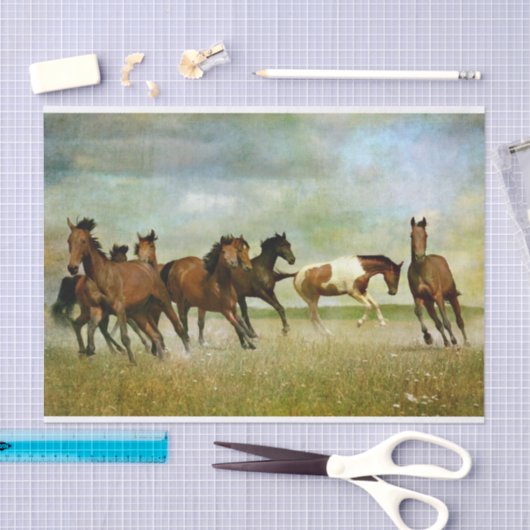 Paardenvrij  schilderen ontkoppeling tissuepapier (Craft)