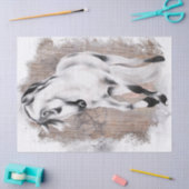 PaardenWaterverf Tissuepapier (Craft)