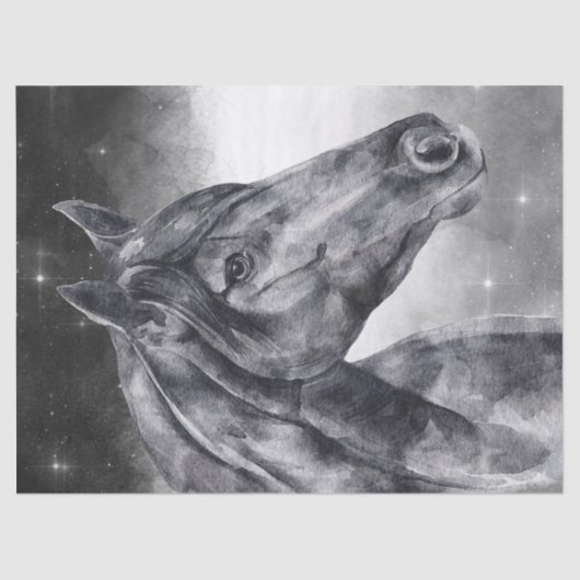 PaardenWaterverf Tissuepapier (Voorkant)