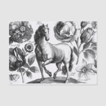  Paardenweefsel of ontkoppelingspapier