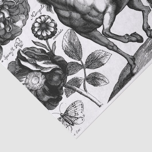 Paardenweefsel of ontkoppelingspapier Tissuepapier (Detail)