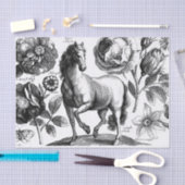 Paardenweefsel of ontkoppelingspapier Tissuepapier (Craft)