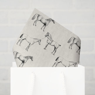 Paardenweefselpapier voor cadeautas en knutselen tissuepapier