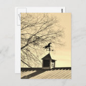 Paardenweerstand Vane sepia Briefkaart (Voorkant / Achterkant)