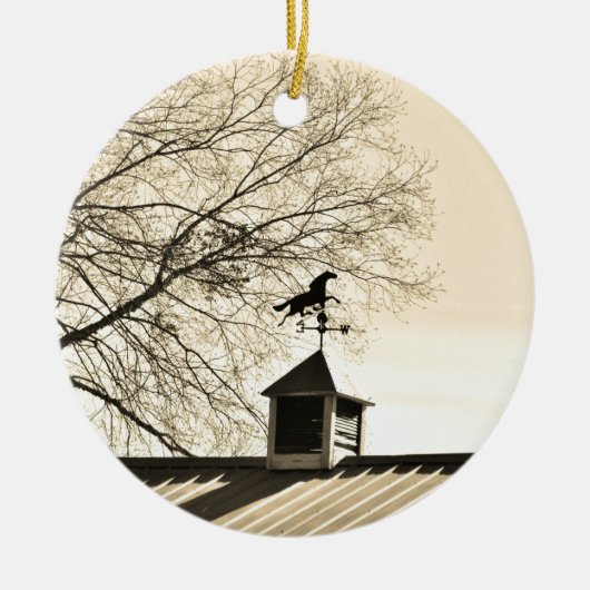 Paardenweerstand Vane sepia Keramisch Ornament (Voorkant)