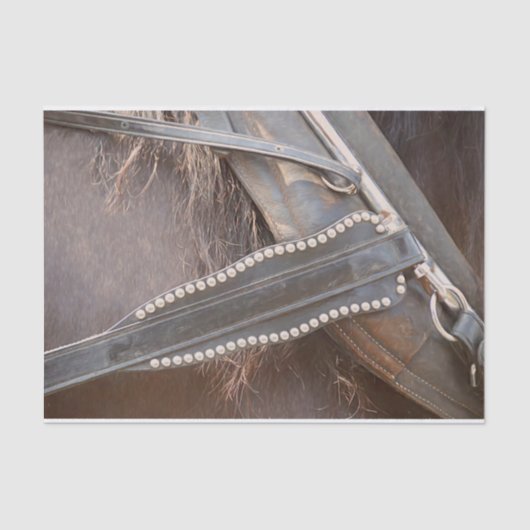 PaardenWesterne bruine roestvrijbuiter Tissuepapier (Voorkant)