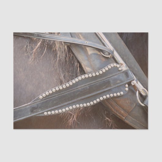 PaardenWesterne bruine roestvrijbuiter Tissuepapier (Voorkant)