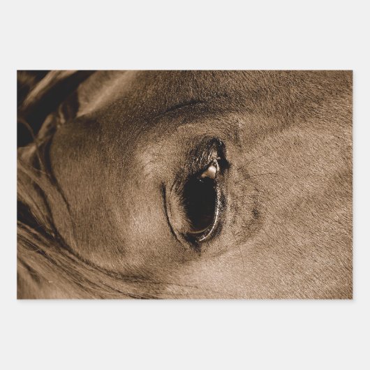 PaardenWesterne Rustische  ontkoppeling Inpakpapier Vel (Voorkant 3)