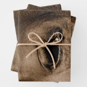 PaardenWesterne Rustische  ontkoppeling Inpakpapier Vel (In situ)