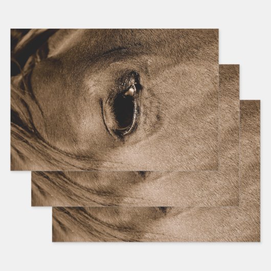 PaardenWesterne Rustische  ontkoppeling Inpakpapier Vel (Set)