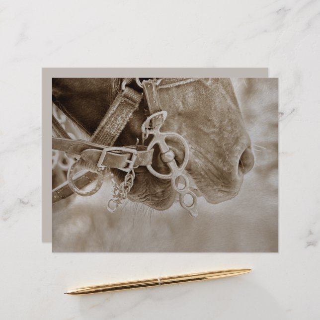 PaardenWesterne Vintage Sepia Rustic ontkoppeling (Voorkant / Achterkant in situ)