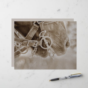 PaardenWesterne Vintage Sepia Rustic ontkoppeling