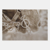 PaardenWesterne Vintage Sepia Rustic ontkoppeling Inpakpapier Vel (Voorkant 3)