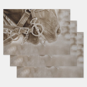 PaardenWesterne Vintage Sepia Rustic ontkoppeling Inpakpapier Vel