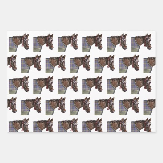 paardenzadel in hoefijzer inpakpapier vel (Voorkant)