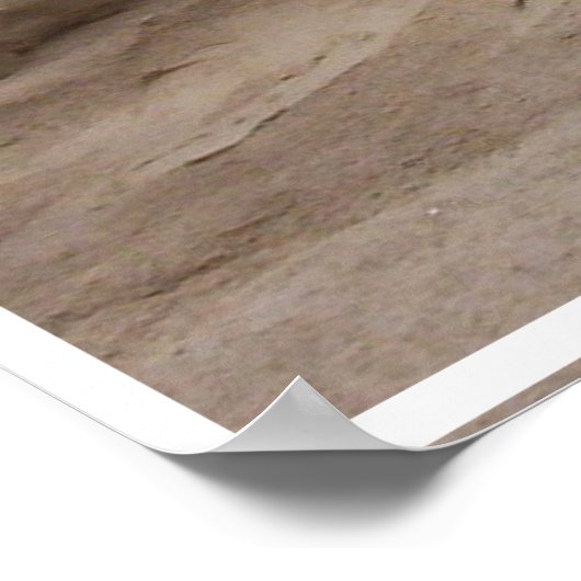 Paardenzand en beeldmateriaal afdrukken poster (Hoek)