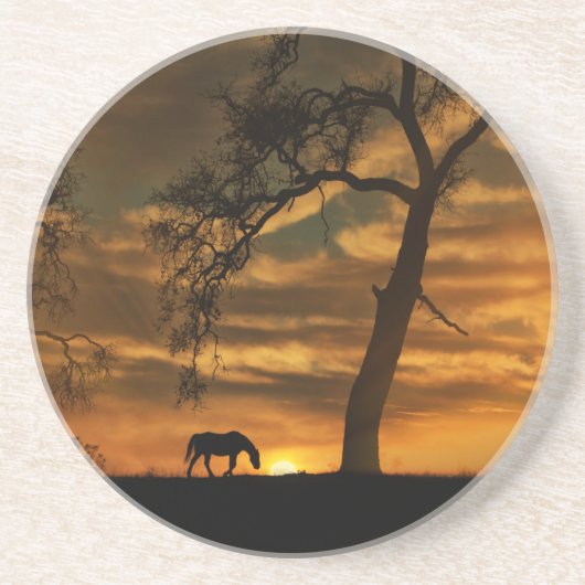 PaardenzandsteenOnderzetters Zandsteen Onderzetter (Voorkant)