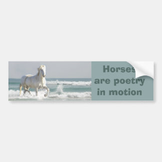 Paardenzee Beauty-Bumpersticker Bumpersticker