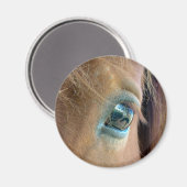 Paardenzicht Magneet (Voorkant / Achterkant)