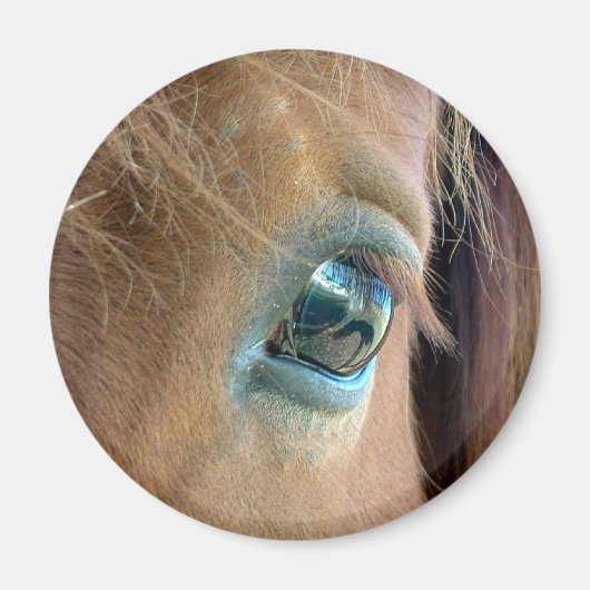 Paardenzicht Magneet (Voorkant)