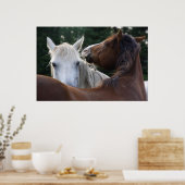 Paardenziekte - poster (Keuken)