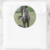 paardeverf ronde sticker (Tas)
