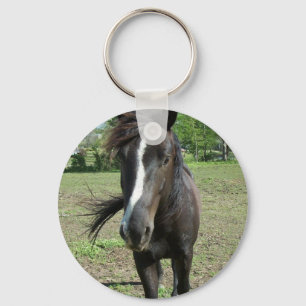 paardeverf sleutelhanger