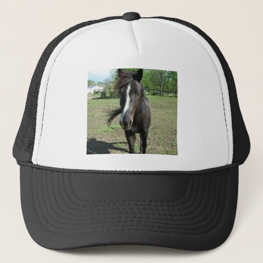 paardeverf trucker pet (Voorkant)