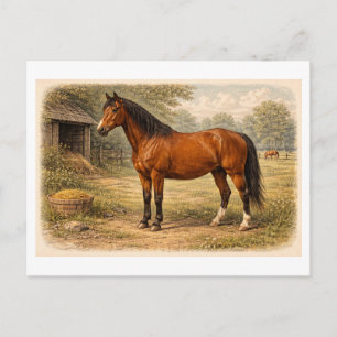 Paardillustratie in vintage stijl briefkaart