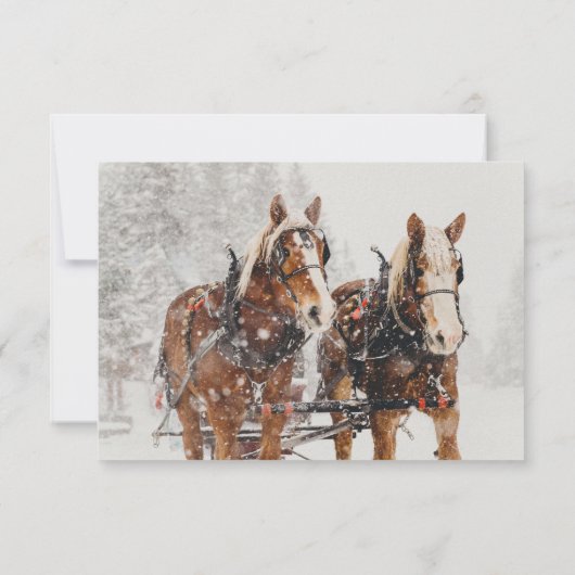 Paardkorst Slaapse kerstscène RSVP Kaart (Achterkant)