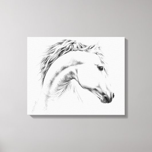 Paardportret potloodtekening Equestriene kunst Canvas Afdruk (Voorkant)