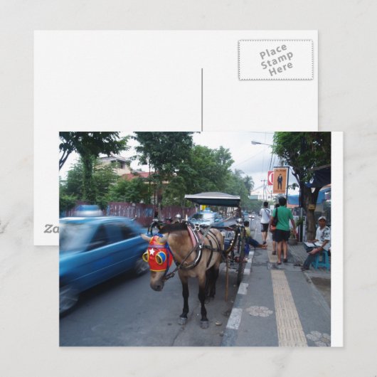 Paardrijden bij Bali Briefkaart (Voorkant / Achterkant)