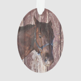 Paardrijden bruin kijken naar me met zijn ogen ornament