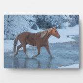 Paardrijden in de winter op Hideout Ranc Fotoplaat (voorkant)