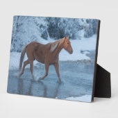 Paardrijden in de winter op Hideout Ranc Fotoplaat (Zijkant)