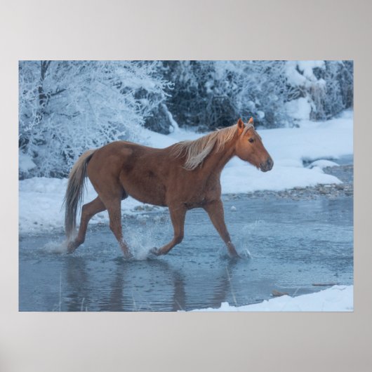 Paardrijden in de winter op Hideout Ranc Poster (Voorkant)