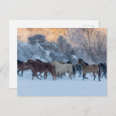 Paardrijden in de winter op Hideout Ranch Briefkaart (Voorkant / Achterkant)