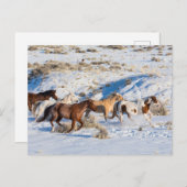 Paardrijden in de winter op Hideout Ranch Briefkaart (Voorkant / Achterkant)