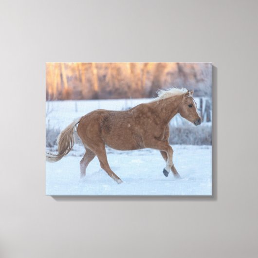 Paardrijden in de winter op Hideout Ranch Canvas Afdruk (Voorkant)