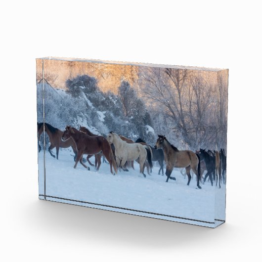 Paardrijden in de winter op Hideout Ranch Fotoblokken (Rechts)