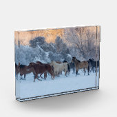 Paardrijden in de winter op Hideout Ranch Fotoblokken (Links)