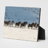 Paardrijden in de winter op Hideout Ranch Fotoplaat (Zijkant)