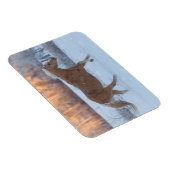 Paardrijden in de winter op Hideout Ranch Magneet (Rechterzijde)