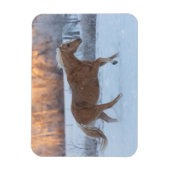 Paardrijden in de winter op Hideout Ranch Magneet (Verticaal)