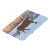 Paardrijden in de winter op Hideout Ranch Magneet (Linkerzijde)